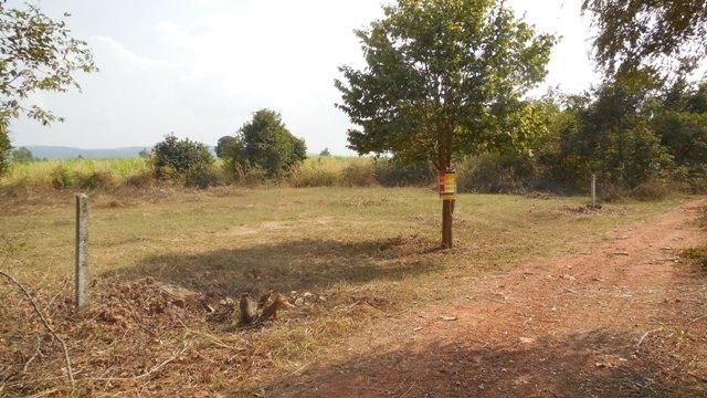 ใช่ 💖 ที่ดิน เขาสวนกวาง ราคาพิเศษ! 💖 รูปที่ 2