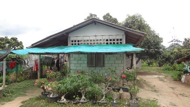 ใช่ 💖 ที่ดิน ป่าซาง ราคาพิเศษ! 💖