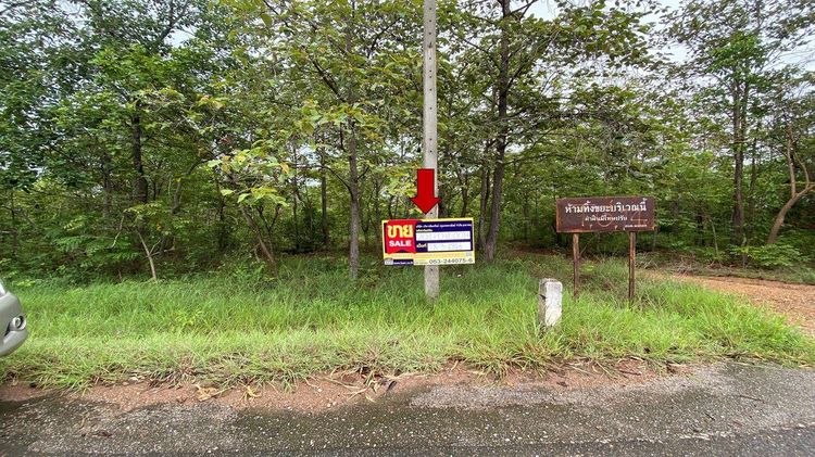 💖 ที่ดิน ป่าซาง ราคาพิเศษ! 💖