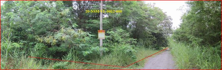 ใช่ 💖 ที่ดิน โชคชัย ราคาพิเศษ! 💖 รูปที่ 3