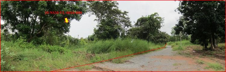 ใช่ 💖 ที่ดิน โชคชัย ราคาพิเศษ! 💖 รูปที่ 3