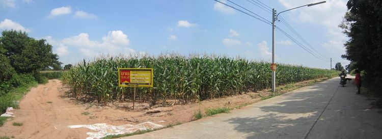 ใช่ 💖 ที่ดิน สีคิ้ว ราคาพิเศษ! 💖