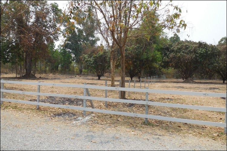 ใช่ 💖 ที่ดิน โชคชัย ราคาพิเศษ! 💖 รูปที่ 3