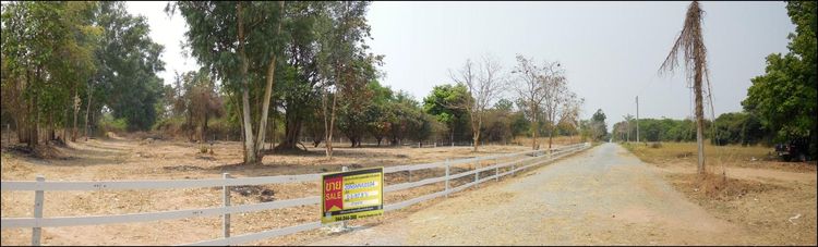 ใช่ 💖 ที่ดิน โชคชัย ราคาพิเศษ! 💖 รูปที่ 2