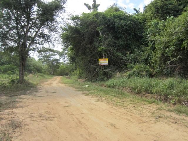 ใช่ 💖 ที่ดิน เกาะยาว ราคาพิเศษ! 💖