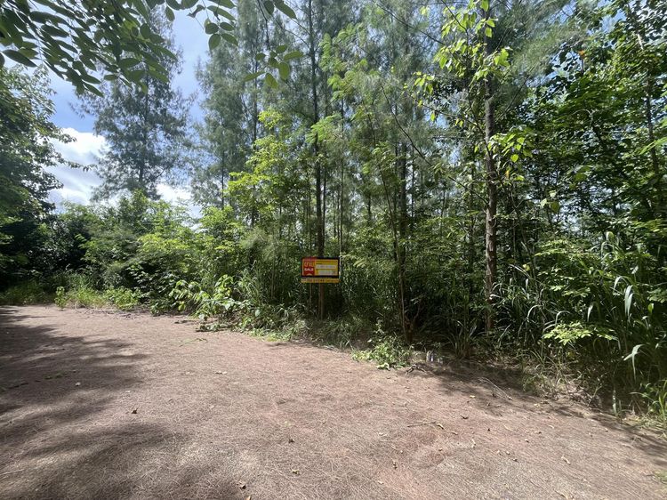 💖 ที่ดิน สวนผึ้ง ราคาพิเศษ! 💖