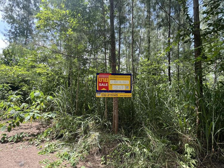 ใช่ 💖 ที่ดิน สวนผึ้ง ราคาพิเศษ! 💖 รูปที่ 4