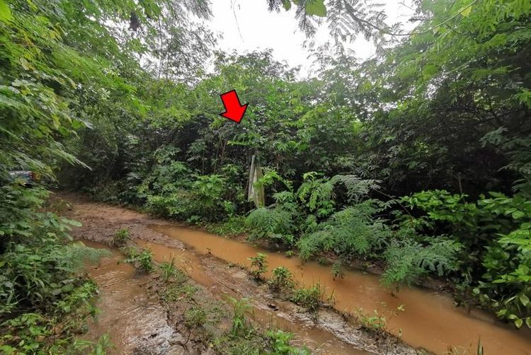 ใช่ 💖 ที่ดิน จอมทอง ราคาพิเศษ! 💖 รูปที่ 2