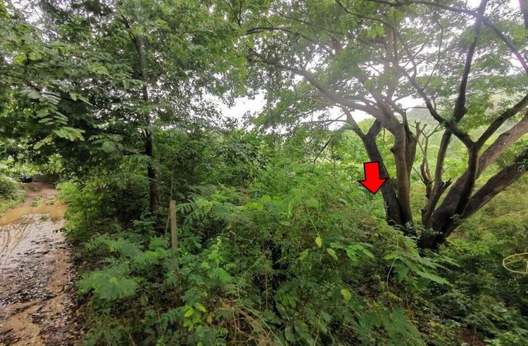 ใช่ 💖 ที่ดิน จอมทอง ราคาพิเศษ! 💖 รูปที่ 3