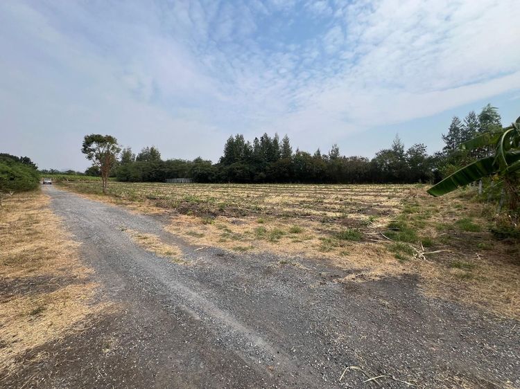 ใช่ 💖 ที่ดิน ชัยบาดาล ราคาพิเศษ! 💖 รูปที่ 3