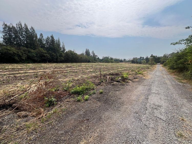 ใช่ 💖 ที่ดิน ชัยบาดาล ราคาพิเศษ! 💖 รูปที่ 4