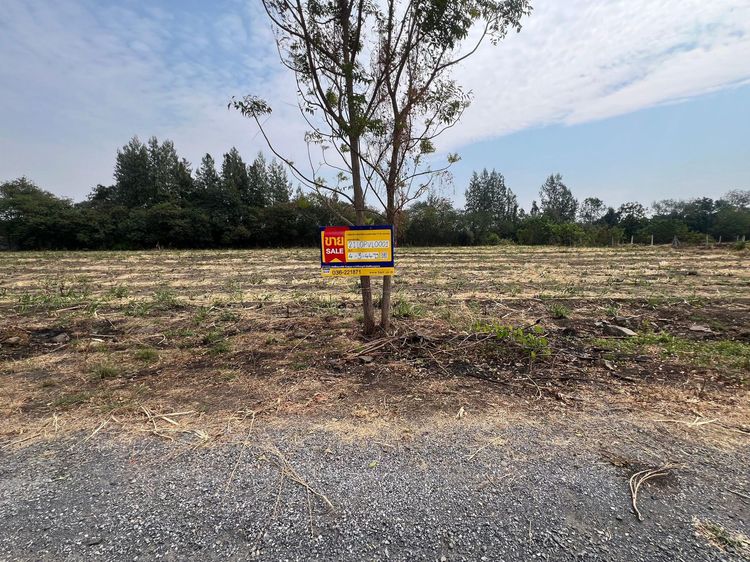 ใช่ 💖 ที่ดิน ชัยบาดาล ราคาพิเศษ! 💖 รูปที่ 2