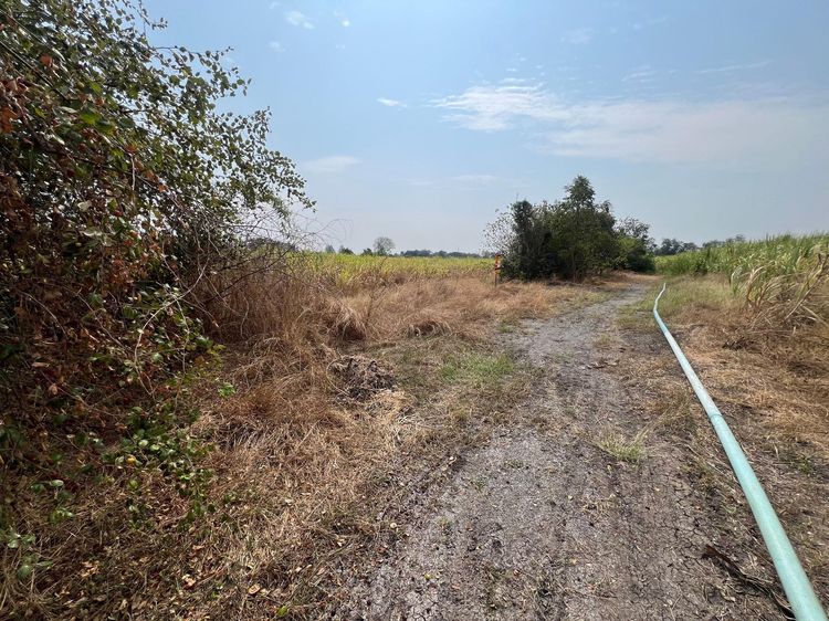 ใช่ 💖 ที่ดิน ชัยบาดาล ราคาพิเศษ! 💖 รูปที่ 2