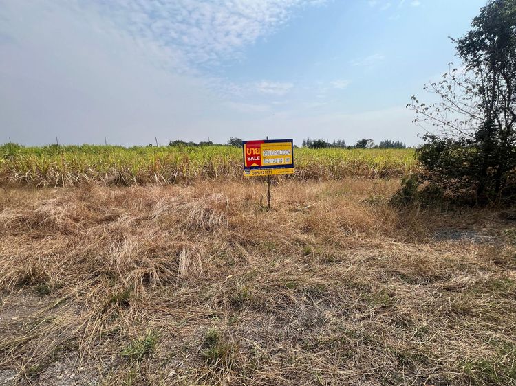 ใช่ 💖 ที่ดิน ชัยบาดาล ราคาพิเศษ! 💖