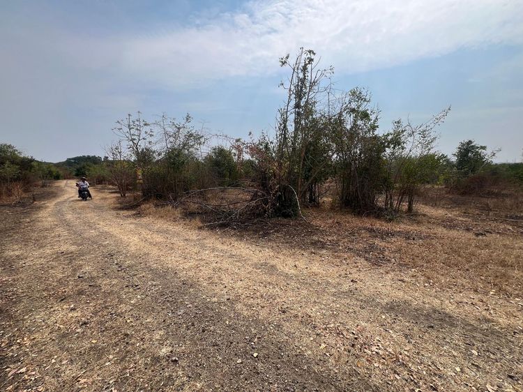 ใช่ 💖 ที่ดิน ชัยบาดาล ราคาพิเศษ! 💖 รูปที่ 3