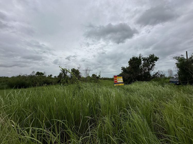 ใช่ 💟 ที่ดินเปล่า โครงการสวนองครักษ์ นครนายก 💟 รูปที่ 2