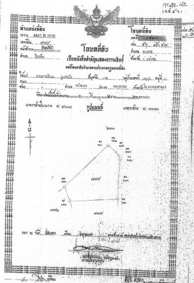 ใช่ 💖 ที่ดิน แม่แตง ราคาพิเศษ! 💖 รูปที่ 4