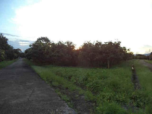 💖 ที่ดิน แม่แตง ราคาพิเศษ! 💖