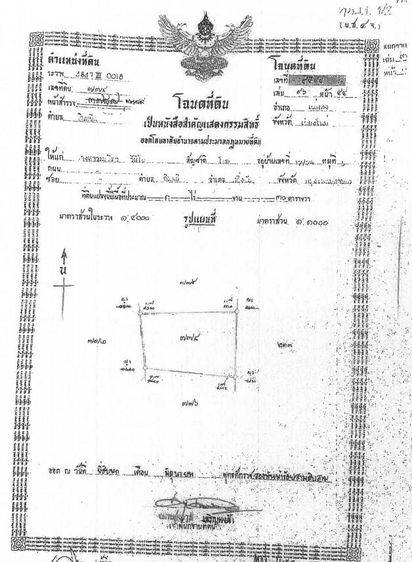 ใช่ 💖 ที่ดิน แม่แตง ราคาพิเศษ! 💖 รูปที่ 3