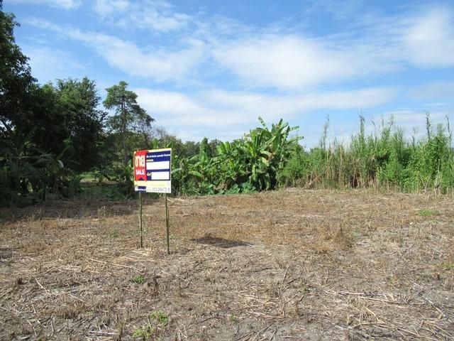 ใช่ 💖 ที่ดิน แม่แตง ราคาพิเศษ! 💖 รูปที่ 2