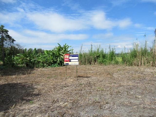 💖 ที่ดิน แม่แตง ราคาพิเศษ! 💖