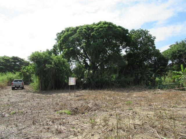 ใช่ 💖 ที่ดิน แม่แตง ราคาพิเศษ! 💖 รูปที่ 3