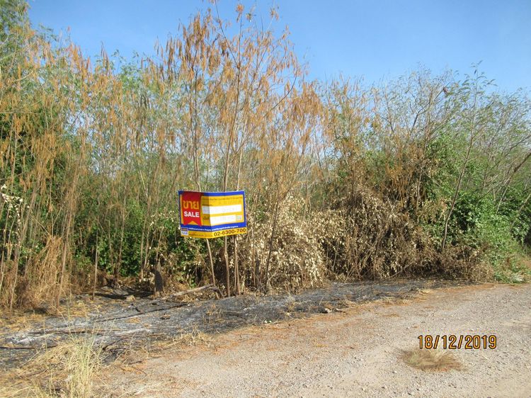 ใช่ 💖 ที่ดิน เมืองสมุทรสาคร ราคาพิเศษ! 💖 รูปที่ 2