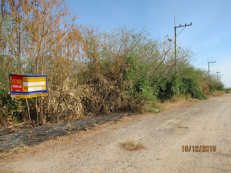 ใช่ 💖 ที่ดิน เมืองสมุทรสาคร ราคาพิเศษ! 💖 รูปที่ 3