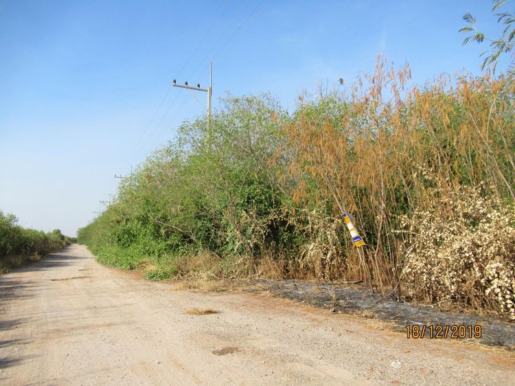 ใช่ 💖 ที่ดิน เมืองสมุทรสาคร ราคาพิเศษ! 💖 รูปที่ 4