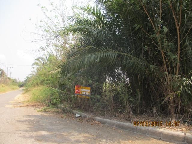 💖 ที่ดิน หนองจอก ราคาพิเศษ! 💖 รูปที่ 2