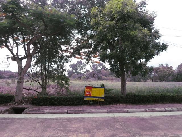 💖 ที่ดิน หนองจอก ราคาพิเศษ! 💖