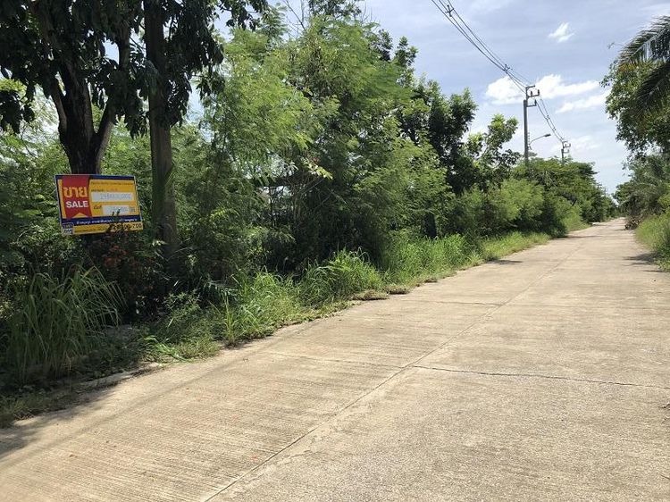 💖 ที่ดิน หนองจอก ราคาพิเศษ! 💖 รูปที่ 3