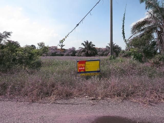 💖 ที่ดิน หนองจอก ราคาพิเศษ! 💖