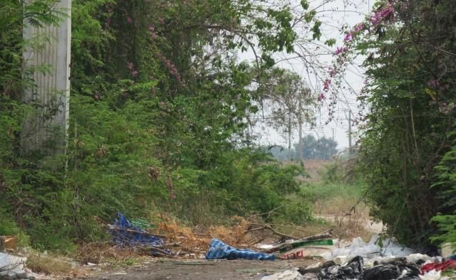 ใช่ 💖 ที่ดิน บางบ่อ ราคาพิเศษ! 💖