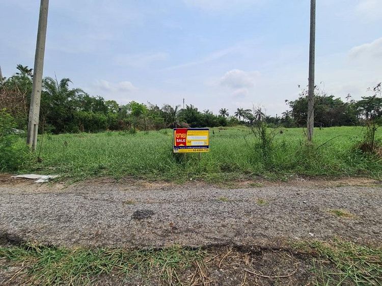 ใช่ 💖 ที่ดิน หนองจอก ราคาพิเศษ! 💖