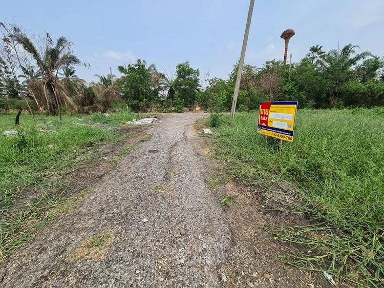 ใช่ 💖 ที่ดิน หนองจอก ราคาพิเศษ! 💖 รูปที่ 4