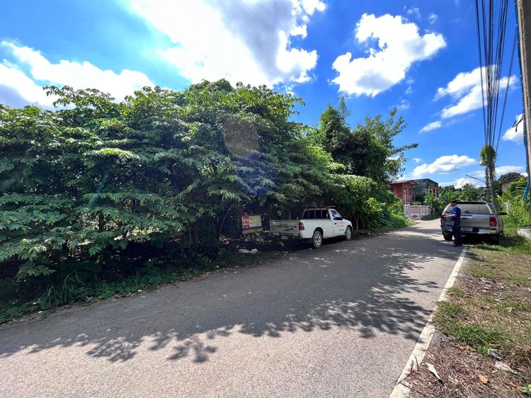 ใช่ 💖 ที่ดิน สวรรคโลก ราคาพิเศษ! 💖 รูปที่ 4