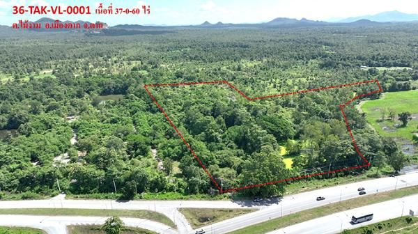 ใช่ 💖 ที่ดิน เมืองตาก ราคาพิเศษ! 💖 รูปที่ 2