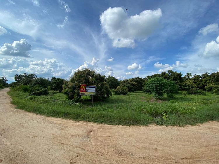 ใช่ 💖 ที่ดิน ป่าซาง ราคาพิเศษ! 💖