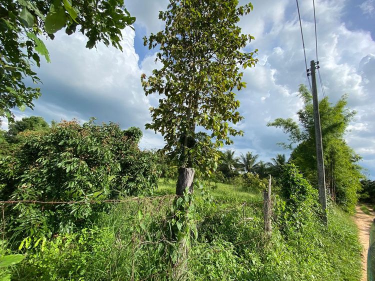 āđāļāđ ð āļāļĩāđāļāļīāļ āļāđāļēāļāļēāļ āļĢāļēāļāļēāļāļīāđāļĻāļĐ! ð āļĢāļđāļāļāļĩāđ 2