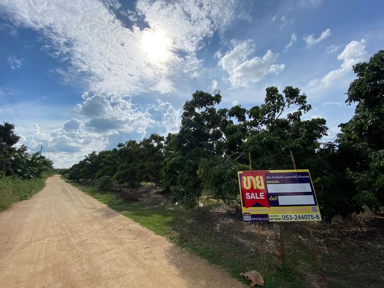 ใช่ 💖 ที่ดิน ป่าซาง ราคาพิเศษ! 💖