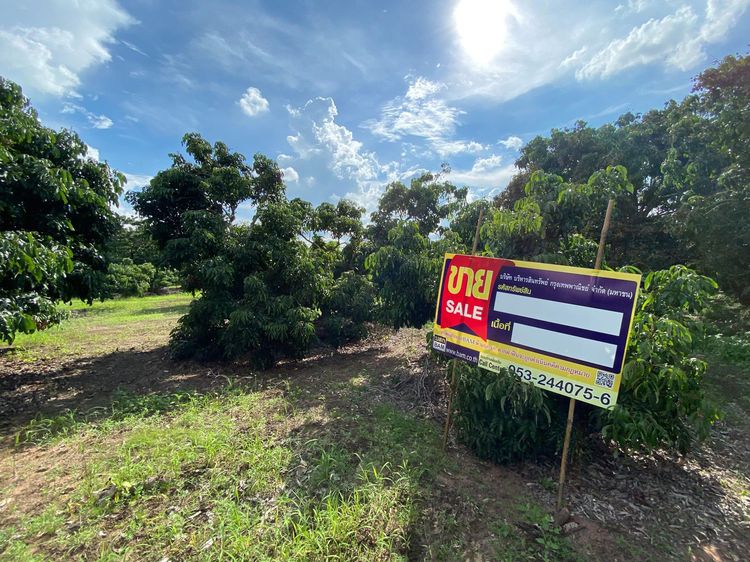 ใช่ 💖 ที่ดิน ป่าซาง ราคาพิเศษ! 💖 รูปที่ 2