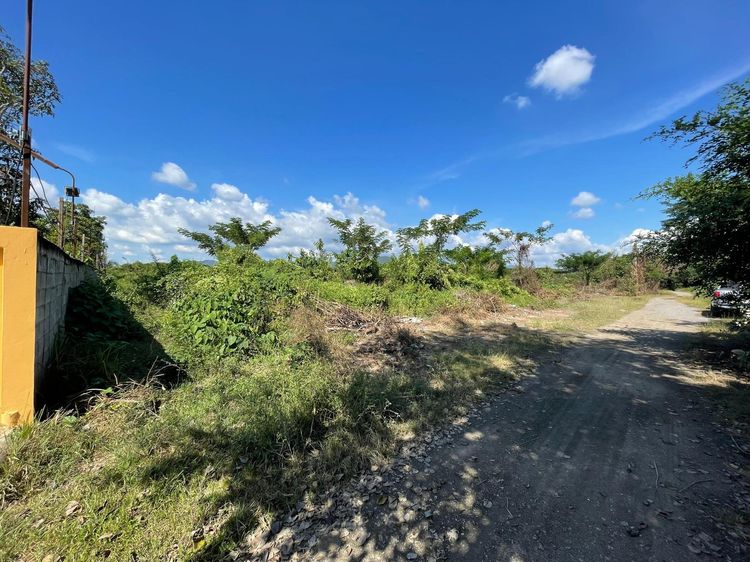 ใช่ 💖 ที่ดิน สันทราย ราคาพิเศษ! 💖 รูปที่ 3