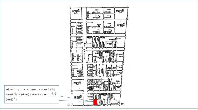 ใช่ 💖 ที่ดิน สะเดา ราคาพิเศษ! 💖 รูปที่ 3