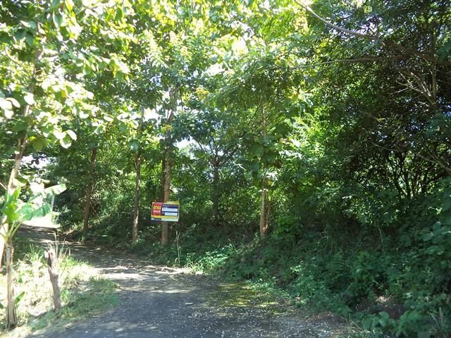 ใช่ 💖 ที่ดิน แม่แตง ราคาพิเศษ! 💖 รูปที่ 2