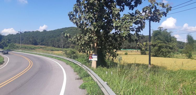 💖 ที่ดิน แม่จัน ราคาพิเศษ! 💖