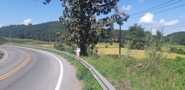 ใช่ 💖 ที่ดิน แม่จัน ราคาพิเศษ! 💖 รูปที่ 4