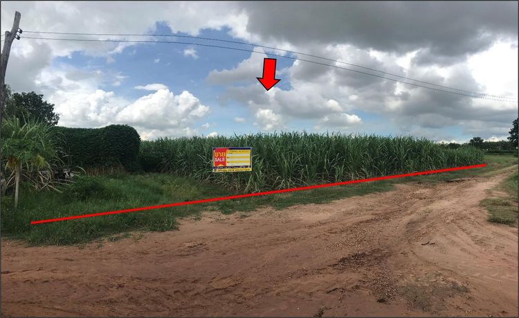 💖 ที่ดิน เมืองขอนแก่น ราคาพิเศษ! 💖