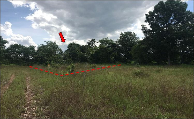 💖 ที่ดิน เมืองขอนแก่น ราคาพิเศษ! 💖