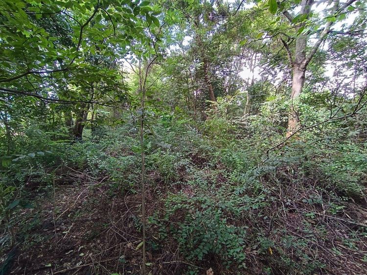 āđāļāđ ð āļāļĩāđāļāļīāļ āđāļĄāļ·āļāļāļāļāļāđāļāđāļ āļĢāļēāļāļēāļāļīāđāļĻāļĐ! ð āļĢāļđāļāļāļĩāđ 2